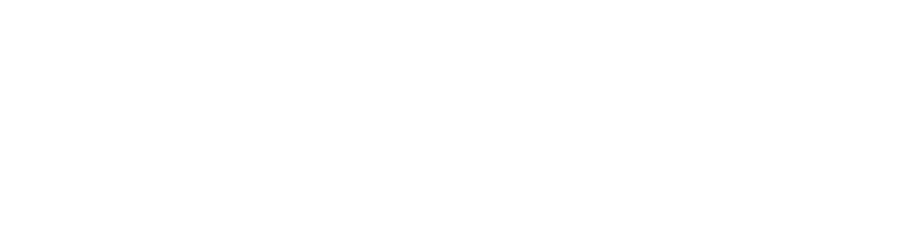 Logo Promeo Groupe